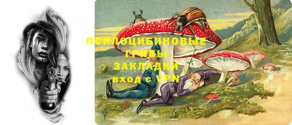 марки nbome Бородино